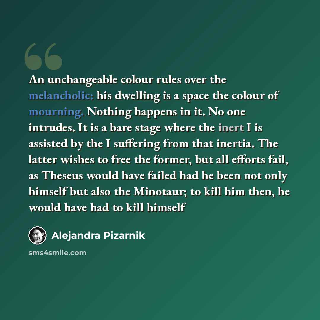 “An unchangeable colour rules over the melancholic: his dwelling is a space the colour of mourning. Nothing happens in it. No one intrudes. It is a bare stage where the inert I is assisted by the I suffering from that inertia. The latter wishes to free the former, but all efforts fail, as Theseus…” quote by Alejandra Pizarnik