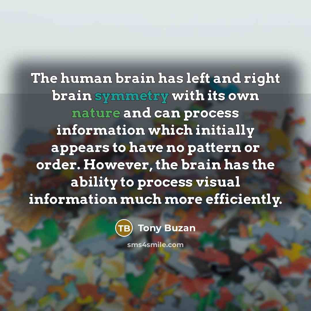 “The human brain has left and right brain symmetry with its own nature and can process information which initially appears to have no pattern or order. However, the brain has the ability to process visual information much more efficiently.” quote by Tony Buzan