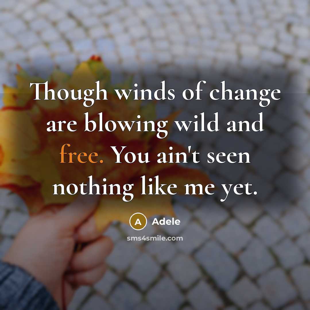 “Though winds of change are blowing wild and free. You ain't seen nothing like me yet.” quote by Adele