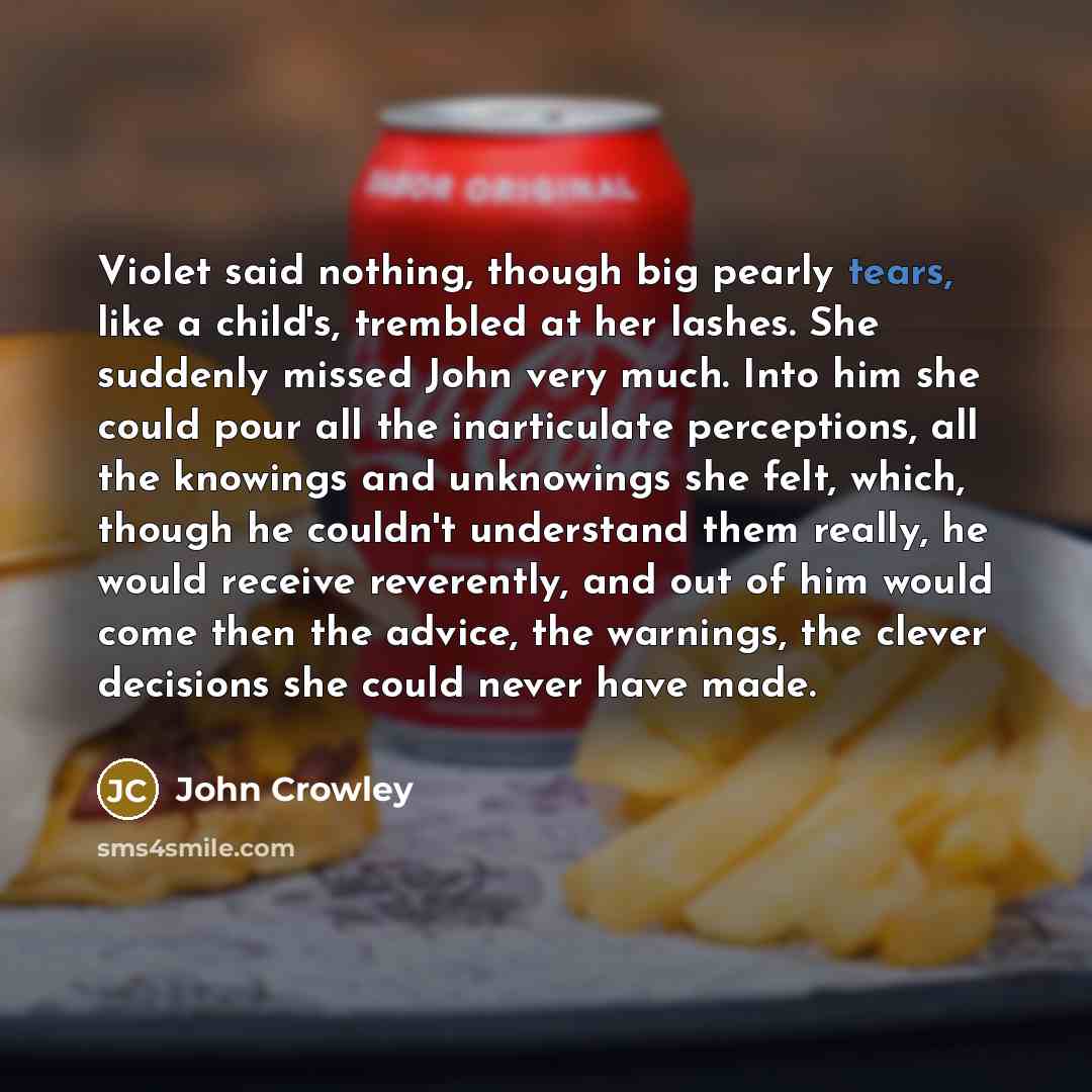 “Violet said nothing, though big pearly tears, like a child's, trembled at her lashes. She suddenly missed John very much. Into him she could pour all the inarticulate perceptions, all the knowings and unknowings she felt, which, though he couldn't understand them really, he would receive…” quote by John Crowley