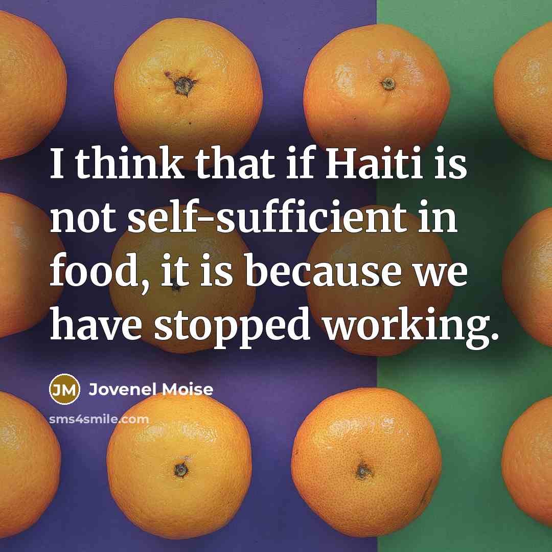 “I think that if Haiti is not self-sufficient in food, it is because we have stopped working.” quote by Jovenel Moise
