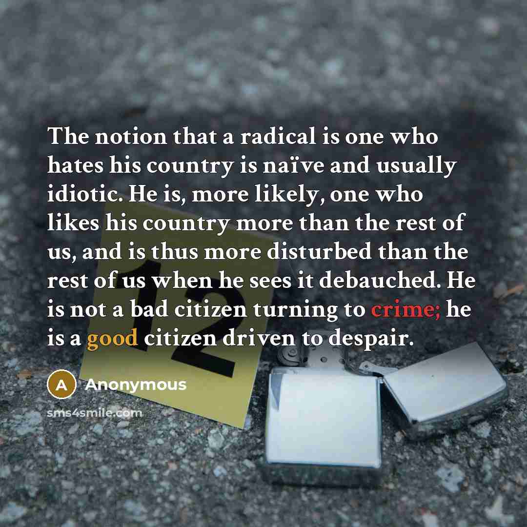 “The notion that a radical is one who hates his country is naïve and usually idiotic. He is, more likely, one who likes his country more than the rest of us, and is thus more disturbed than the rest of us when he sees it debauched. He is not a bad citizen turning to crime; he is a good citizen…” quote by Anonymous