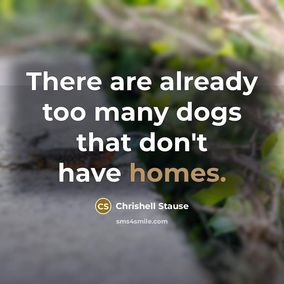 “There are already too many dogs that don't have homes.” quote by Chrishell Stause