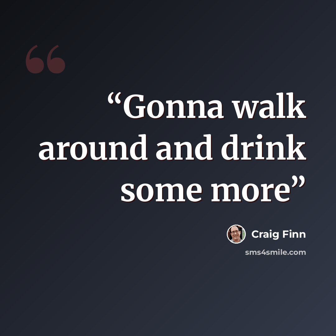 “Gonna walk around and drink some more” quote by Craig Finn