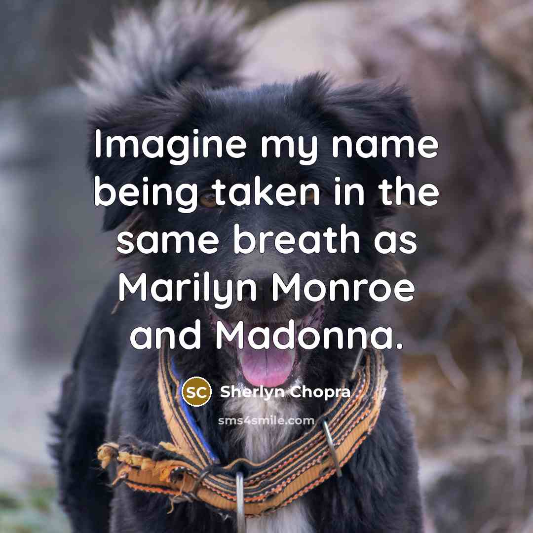 “Imagine my name being taken in the same breath as Marilyn Monroe and Madonna.” quote by Sherlyn Chopra