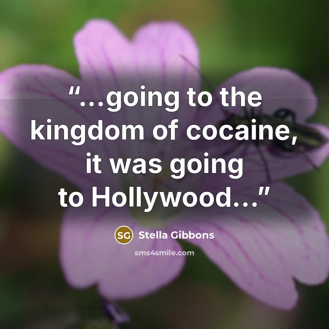 “...going to the kingdom of cocaine, it was going to Hollywood...” quote by Stella Gibbons