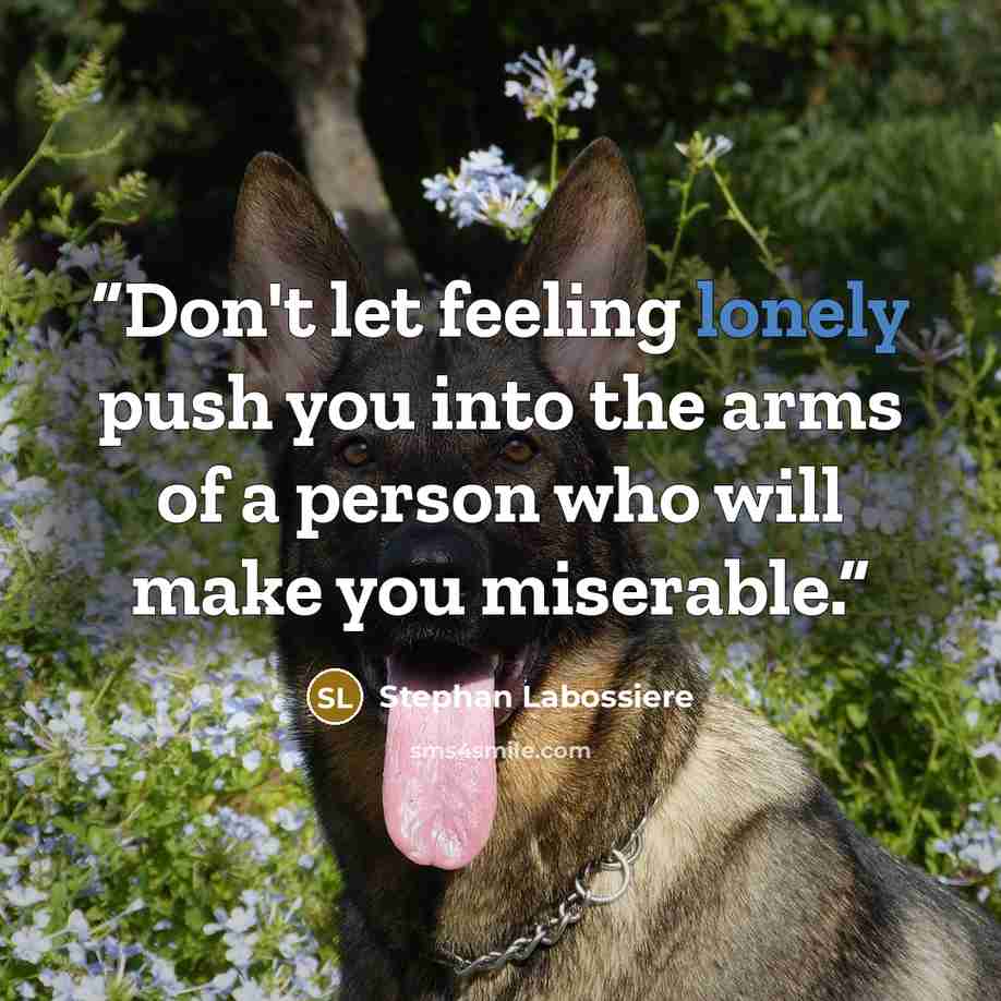 “Don't let feeling lonely push you into the arms of a person who will make you miserable.” quote by Stephan Labossiere
