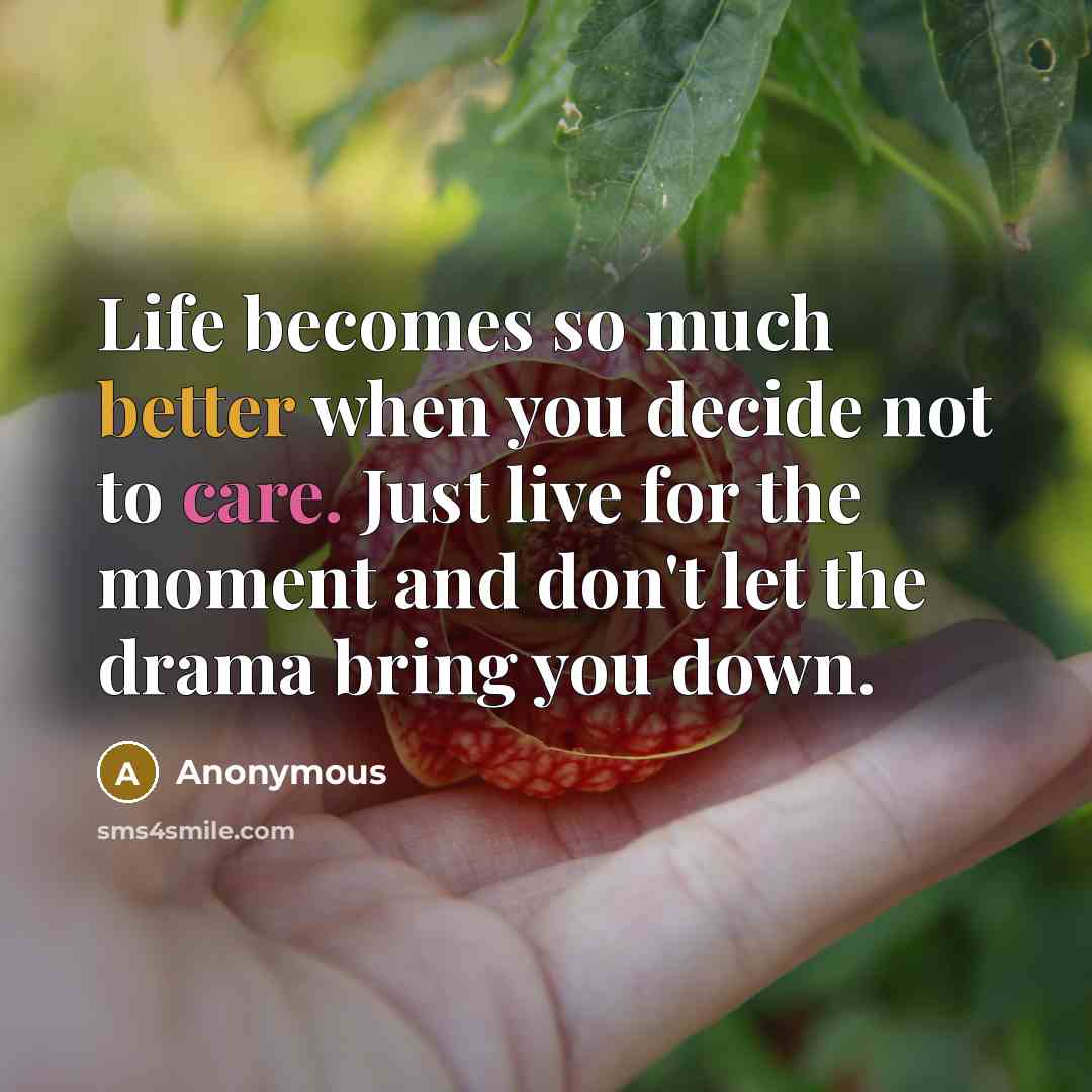 “Life becomes so much better when you decide not to care. Just live for the moment and don't let the drama bring you down.” quote by Anonymous