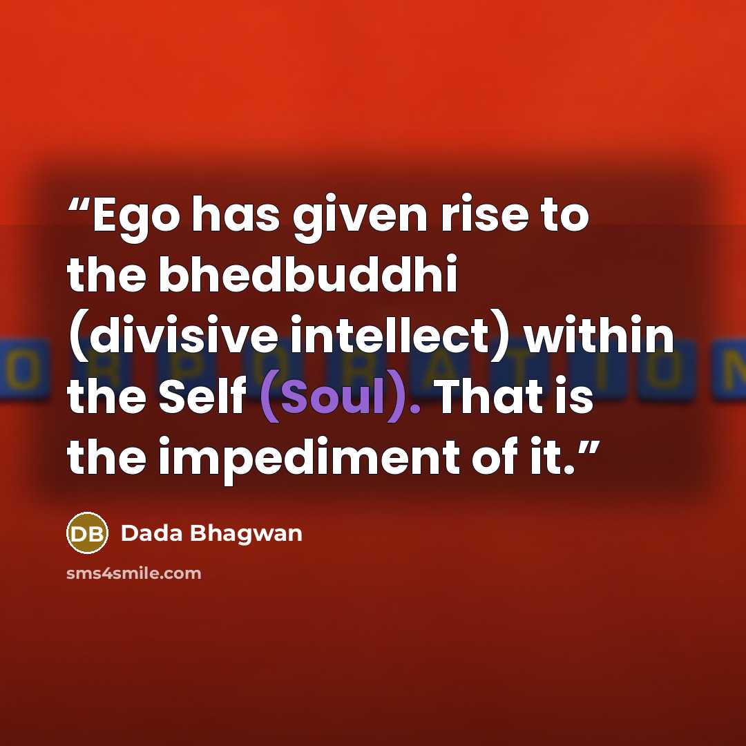 “Ego has given rise to the bhedbuddhi (divisive intellect) within the Self (Soul). That is the impediment of it.” quote by Dada Bhagwan