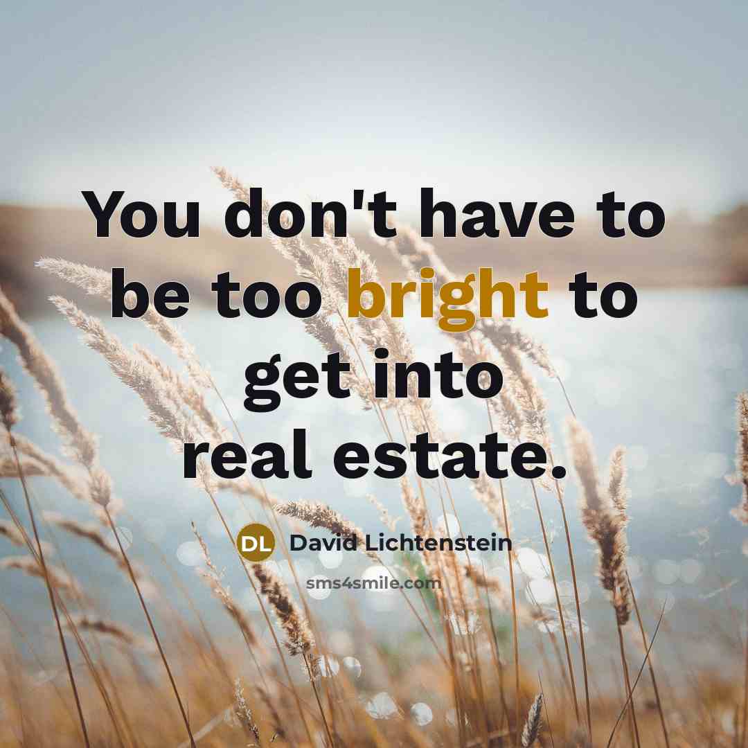 “You don't have to be too bright to get into real estate.” quote by David Lichtenstein