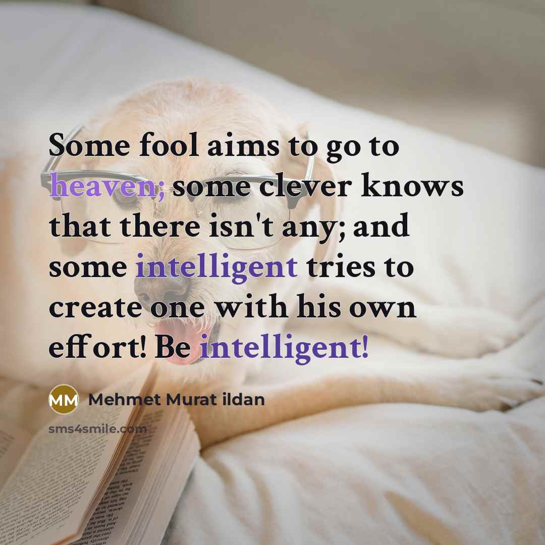 “Some fool aims to go to heaven; some clever knows that there isn't any; and some intelligent tries to create one with his own effort! Be intelligent!” quote by Mehmet Murat Ildan
