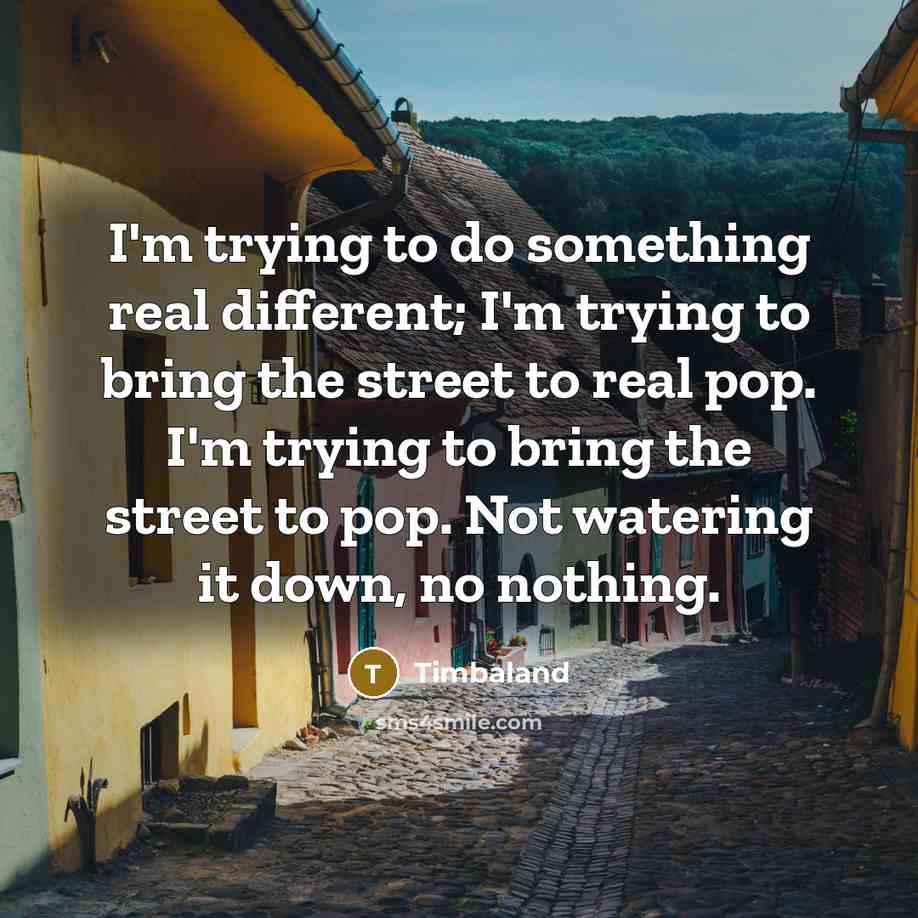 “I'm trying to do something real different; I'm trying to bring the street to real pop. I'm trying to bring the street to pop. Not watering it down, no nothing.” quote by Timbaland