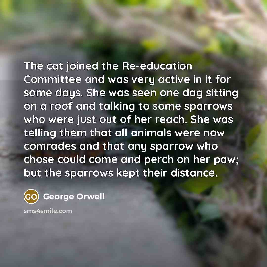 “The cat joined the Re-education Committee and was very active in it for some days. She was seen one dag sitting on a roof and talking to some sparrows who were just out of her reach. She was telling them that all animals were now comrades and that any sparrow who chose could come and perch on her…” quote by George Orwell