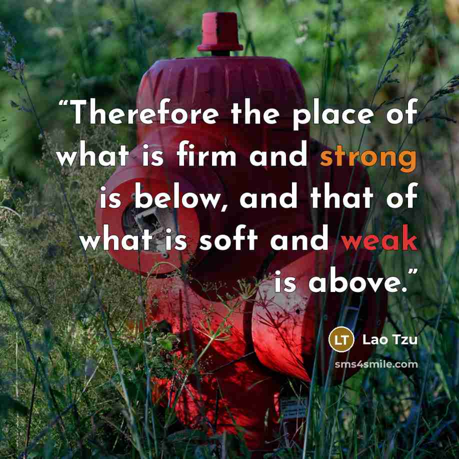 “Therefore the place of what is firm and strong is below, and that of what is soft and weak is above.” quote by Lao Tzu