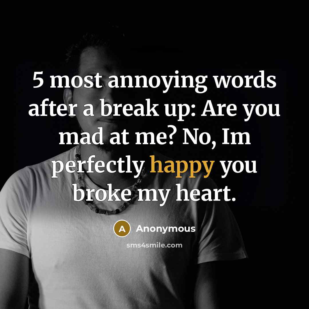 “5 most annoying words after a break up: Are you mad at me? No, Im perfectly happy you broke my heart.” quote by Anonymous