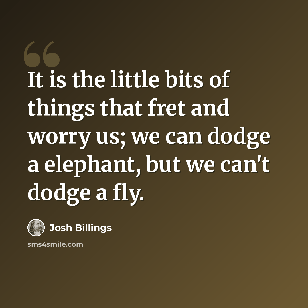 “It is the little bits of things that fret and worry us; we can dodge a elephant, but we can't dodge a fly.” quote by Josh Billings