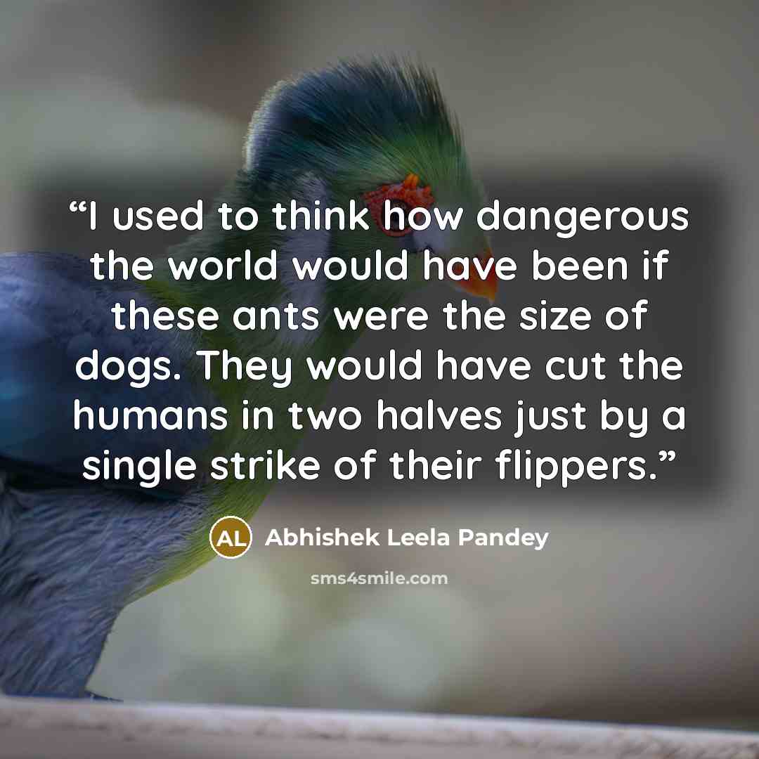 “I used to think how dangerous the world would have been if these ants were the size of dogs. They would have cut the humans in two halves just by a single strike of their flippers.” quote by Abhishek Leela Pandey