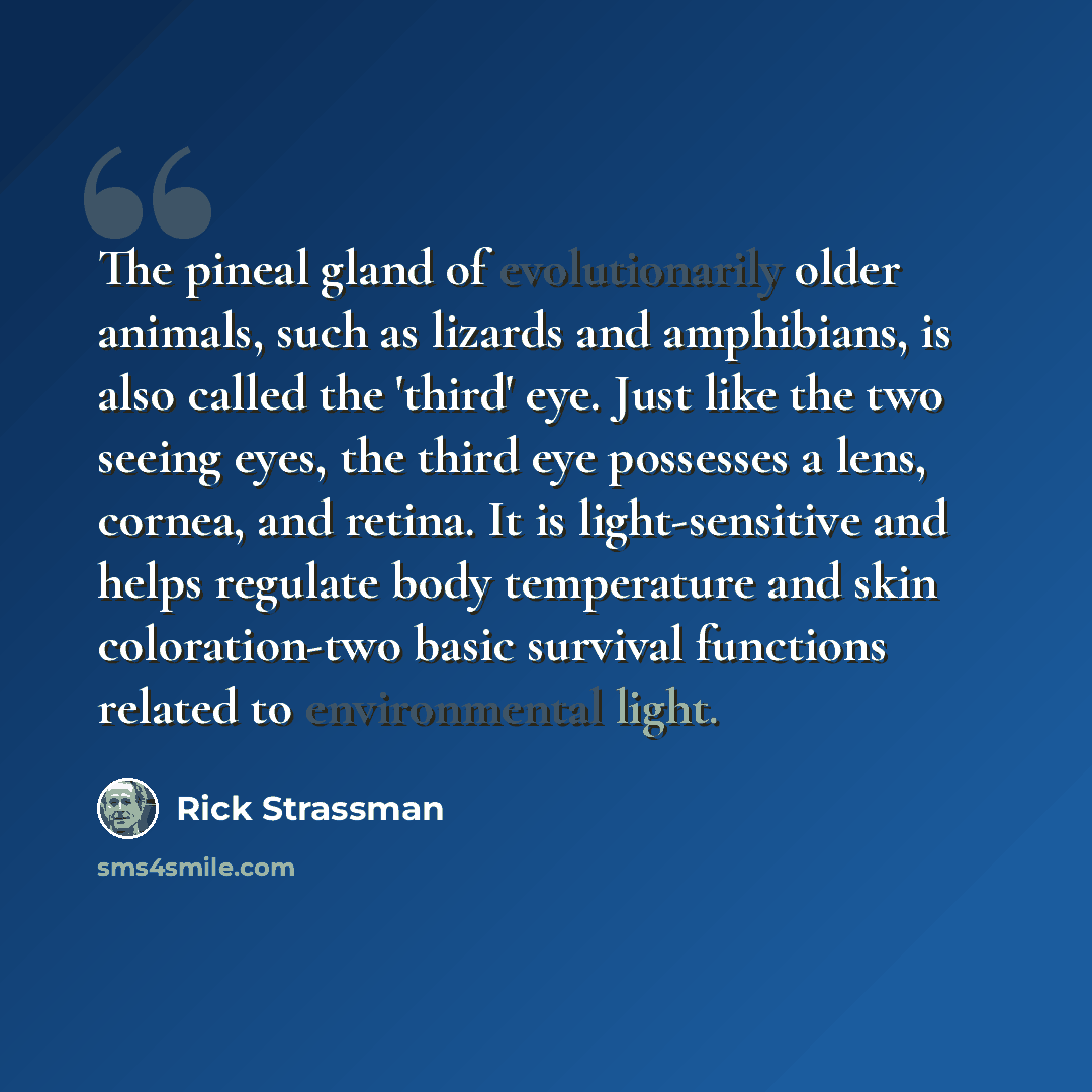 “The pineal gland of evolutionarily older animals, such as lizards and amphibians, is also called the 'third' eye. Just like the two seeing eyes, the third eye possesses a lens, cornea, and retina. It is light-sensitive and helps regulate body temperature and skin coloration-two basic survival…” quote by Rick Strassman