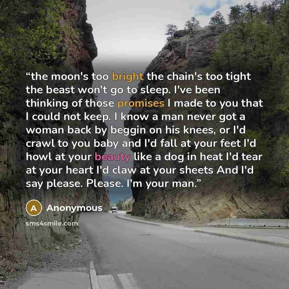“the moon's too bright the chain's too tight the beast won't go to sleep. I've been thinking of those promises I made to you that I could not keep. I know a man never got a woman back by beggin on his knees, or I'd crawl to you baby and I'd fall at your feet I'd howl at your beauty like a dog in…” quote by Anonymous