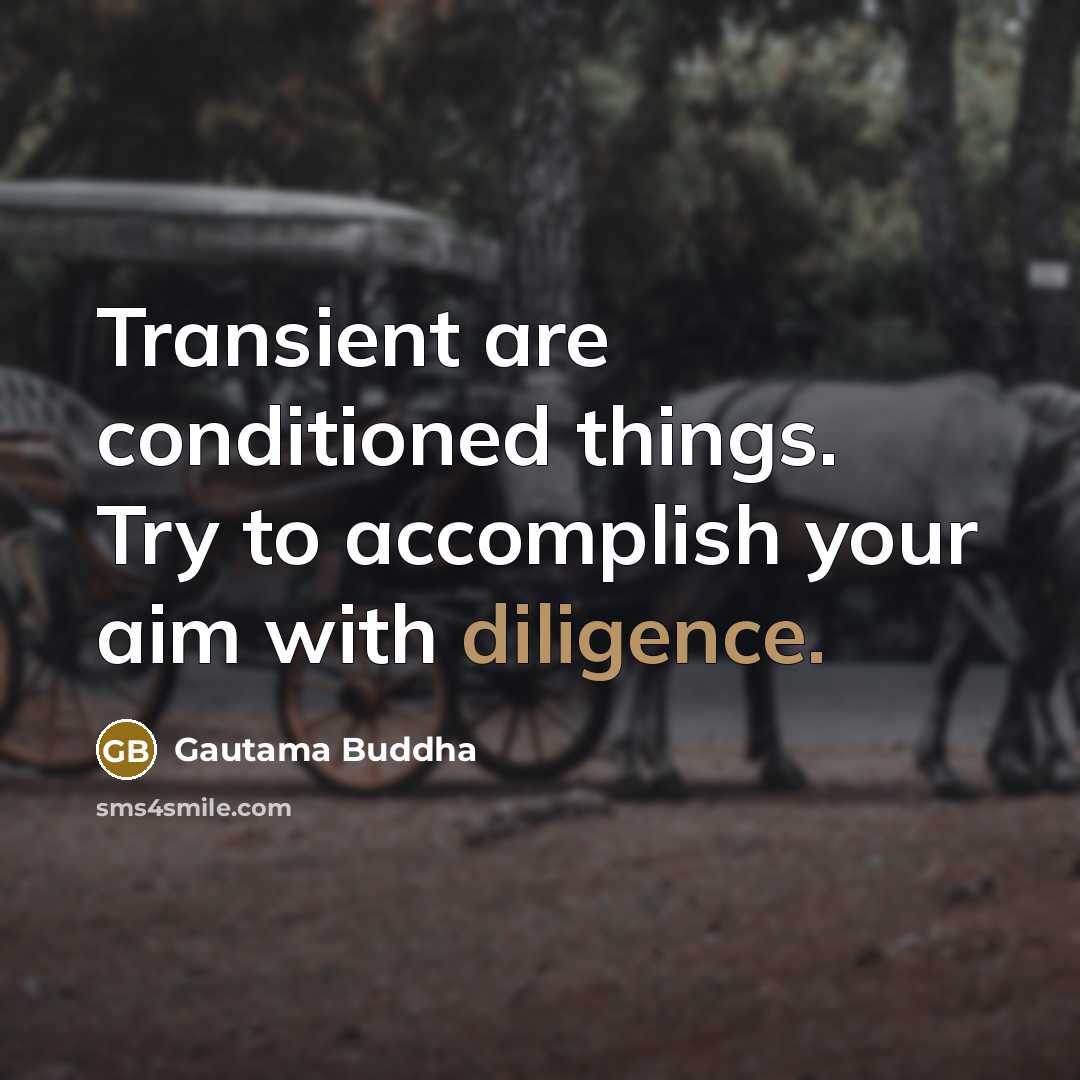 “Transient are conditioned things. Try to accomplish your aim with diligence.” quote by Gautama Buddha