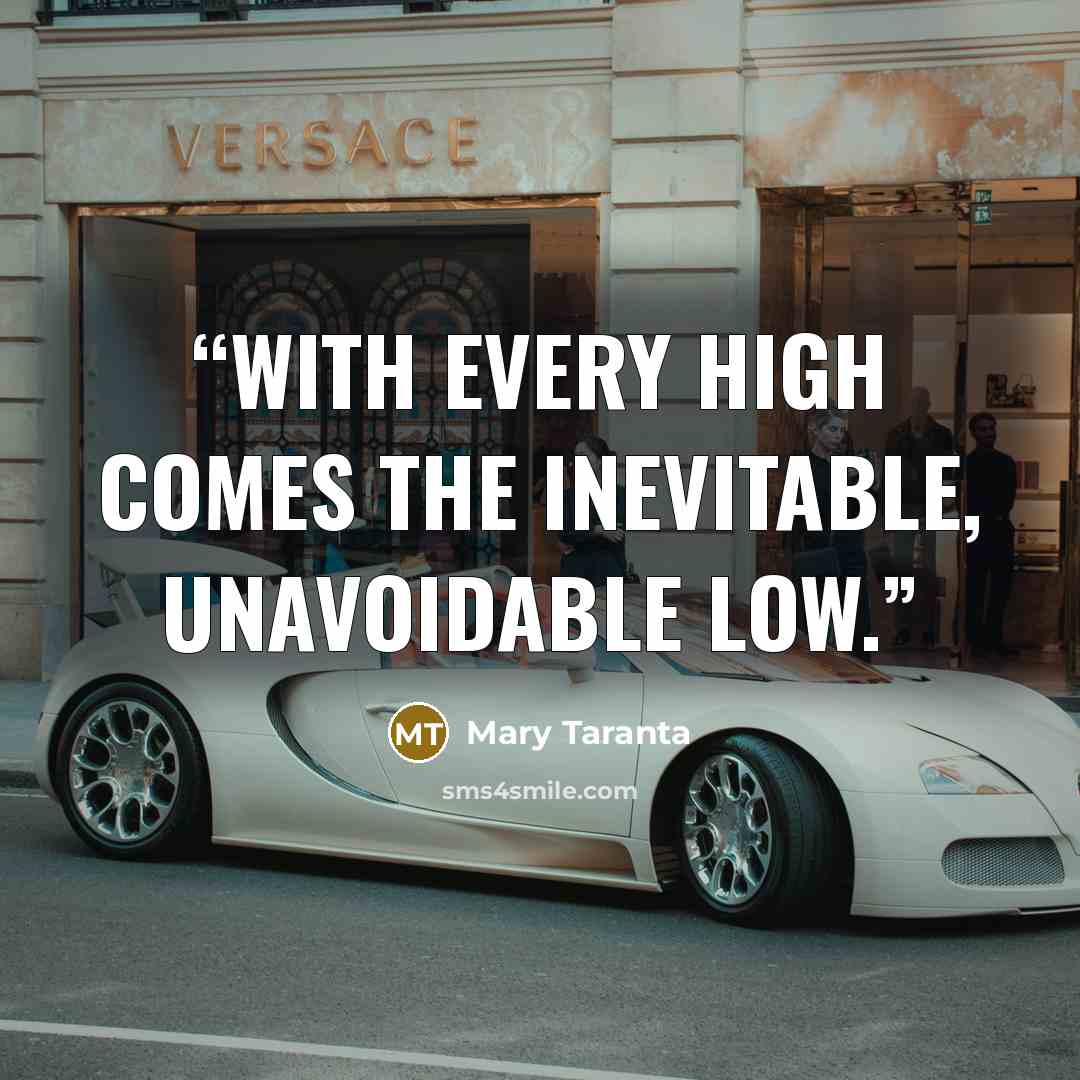 “With every high comes the inevitable, unavoidable low.” quote by Mary Taranta
