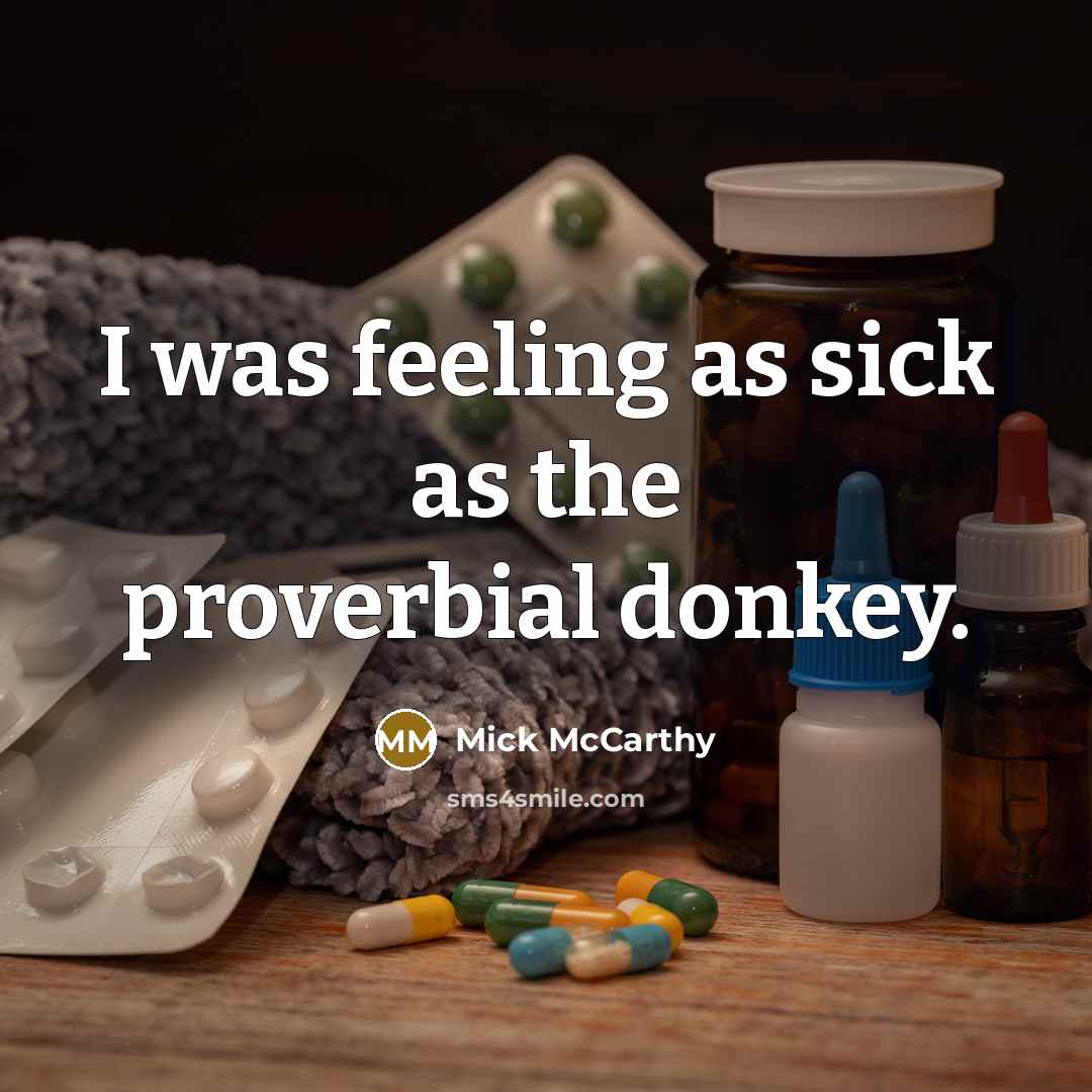 “I was feeling as sick as the proverbial donkey.” quote by Mick McCarthy