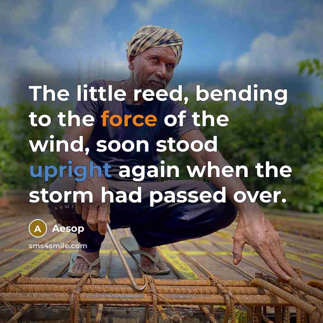 “The little reed, bending to the force of the wind, soon stood upright again when the storm had passed over.” quote by Aesop