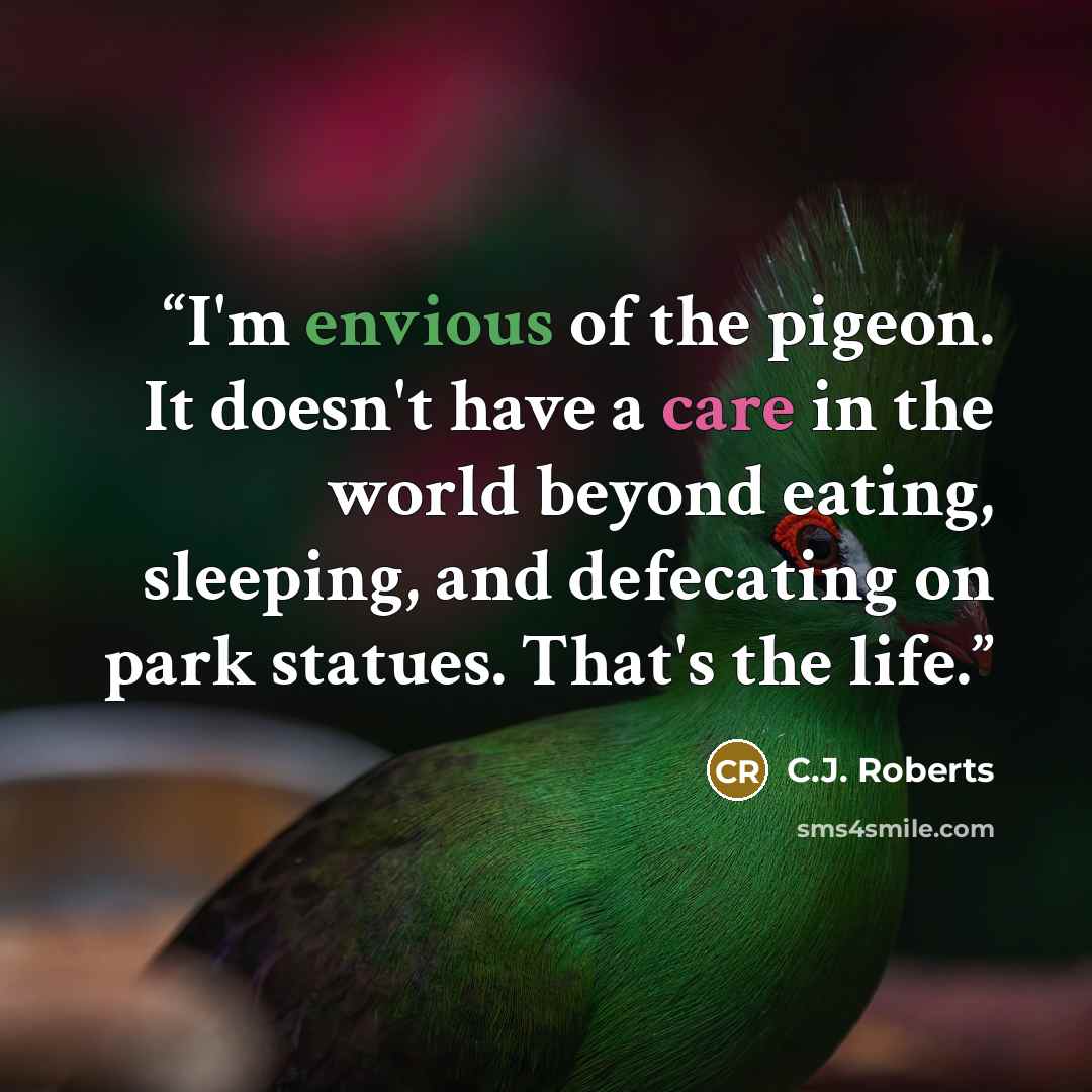 “I'm envious of the pigeon. It doesn't have a care in the world beyond eating, sleeping, and defecating on park statues. That's the life.” quote by C.J. Roberts