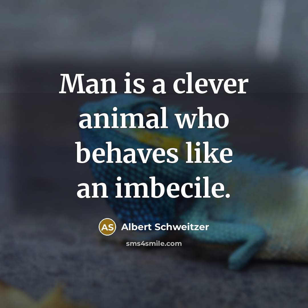 “Man is a clever animal who behaves like an imbecile.” quote by Albert Schweitzer