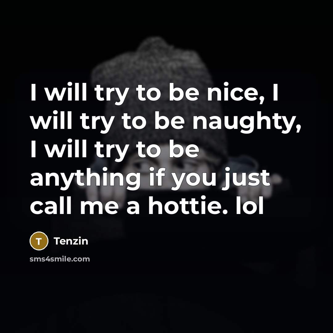 “I will try to be nice, I will try to be naughty, I will try to be anything if you just call me a hottie. lol” quote by Tenzin