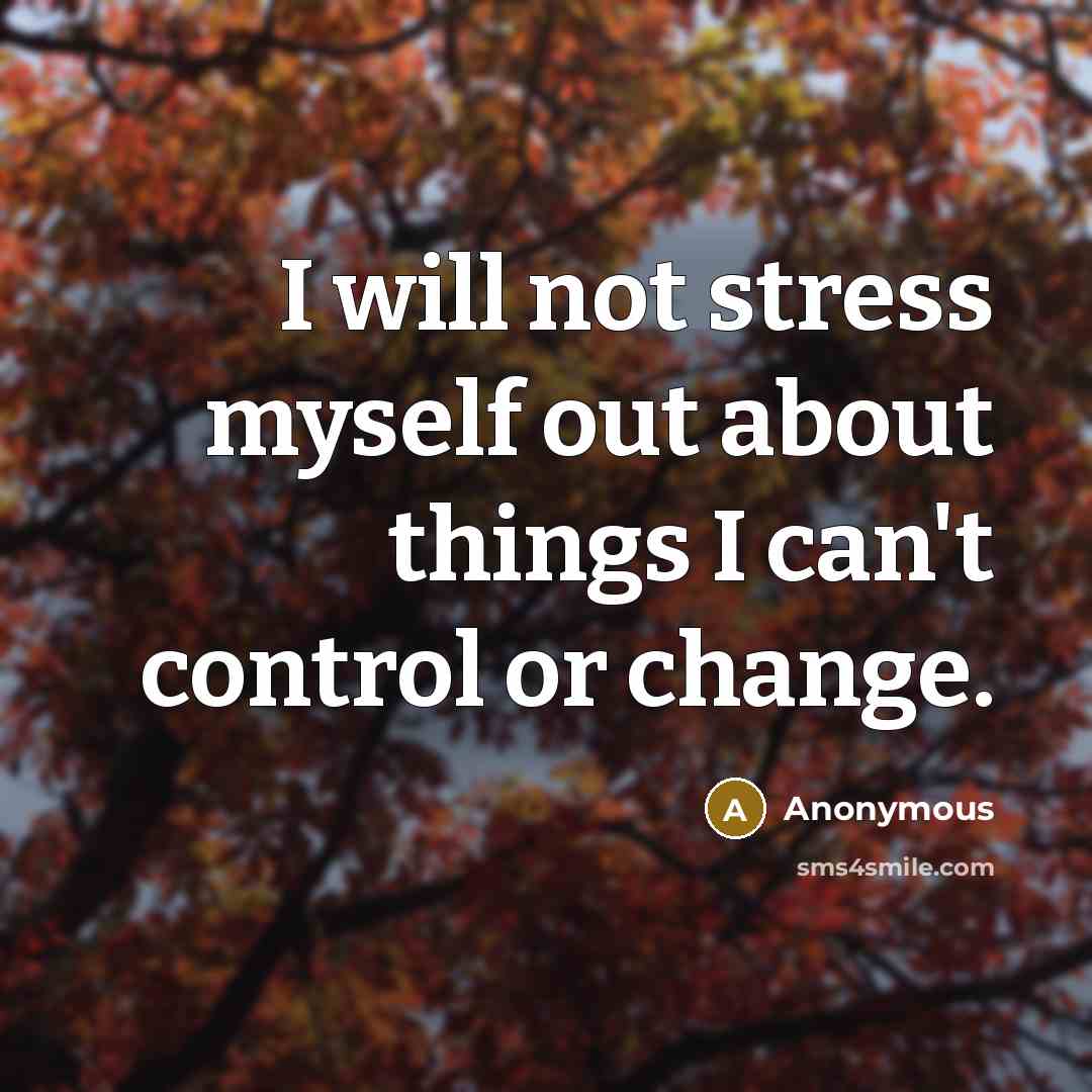 “I will not stress myself out about things I can't control or change.” quote by Anonymous