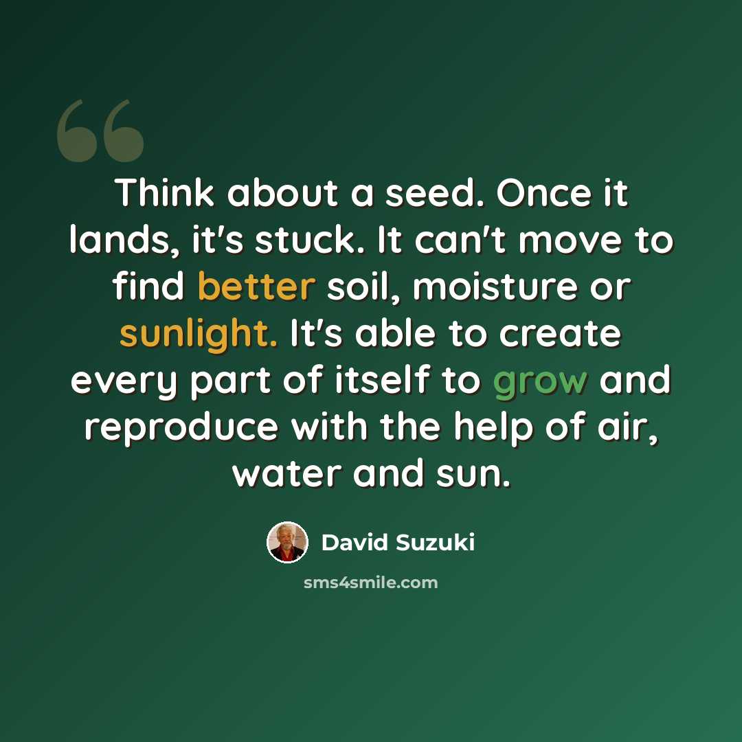 “Think about a seed. Once it lands, it's stuck. It can't move to find better soil, moisture or sunlight. It's able to create every part of itself to grow and reproduce with the help of air, water and sun.” quote by David Suzuki