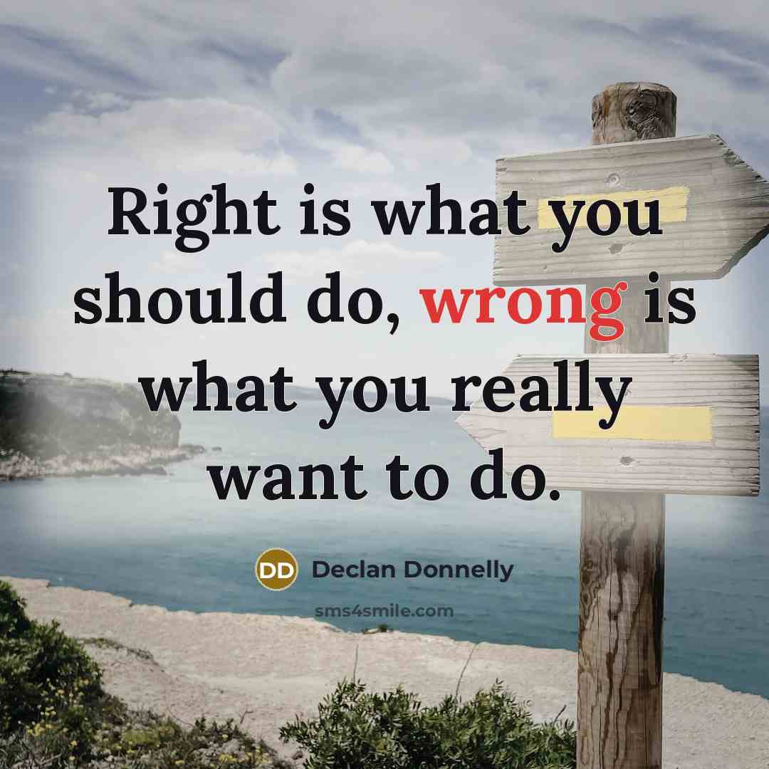 “Right is what you should do, wrong is what you really want to do.” quote by Declan Donnelly