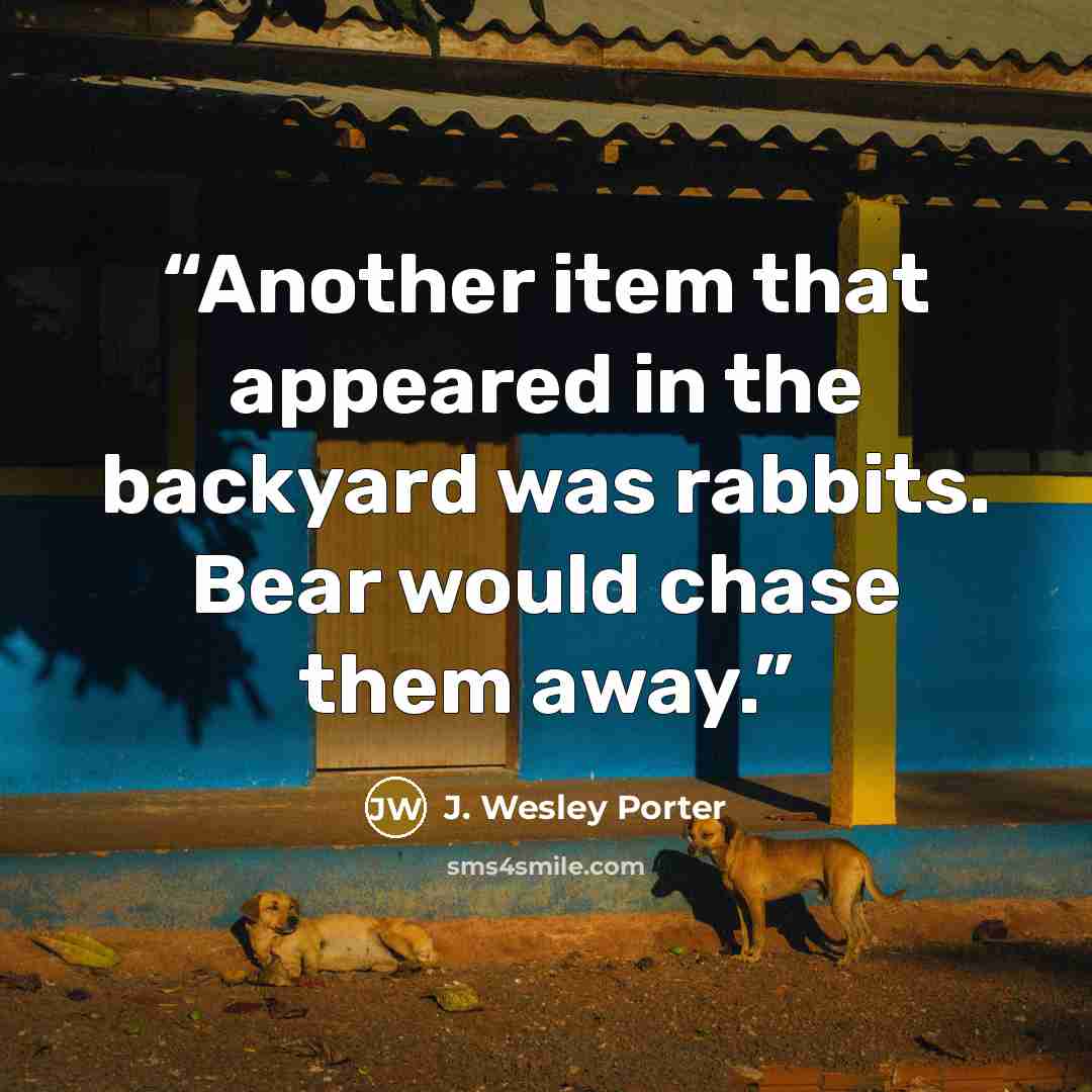 “Another item that appeared in the backyard was rabbits. Bear would chase them away.” quote by J. Wesley Porter