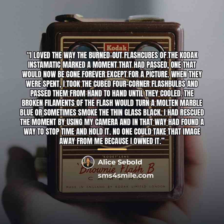 “I loved the way the burned-out flashcubes of the Kodak Instamatic marked a moment that had passed, one that would now be gone forever except for a picture. When they were spent, I took the cubed four-corner flashbulbs and passed them from hand to hand until they cooled. The broken filaments of the…” quote by Alice Sebold