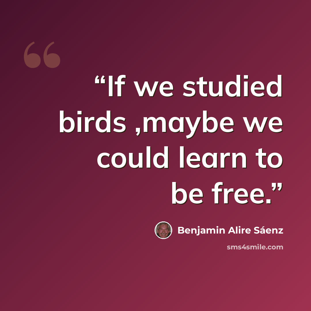 “If we studied birds ,maybe we could learn to be free.” quote by Benjamin Alire Sáenz