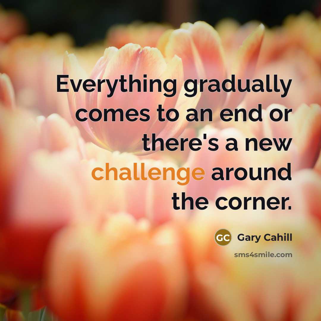 “Everything gradually comes to an end or there's a new challenge around the corner.” quote by Gary Cahill