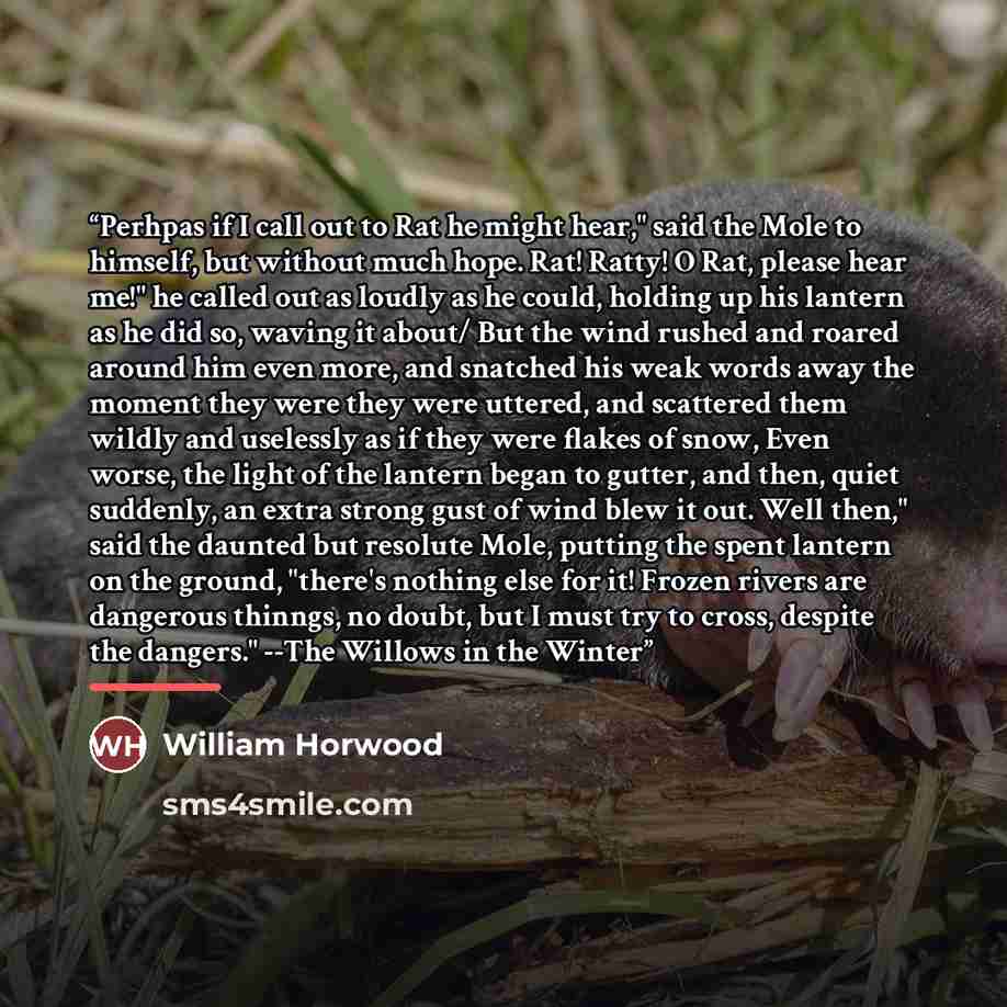 “Perhpas if I call out to Rat he might hear," said the Mole to himself, but without much hope. Rat! Ratty! O Rat, please hear me!" he called out as loudly as he could, holding up his lantern as he did so, waving it about/ But the wind rushed and roared around him even more, and snatched his weak…” quote by William Horwood
