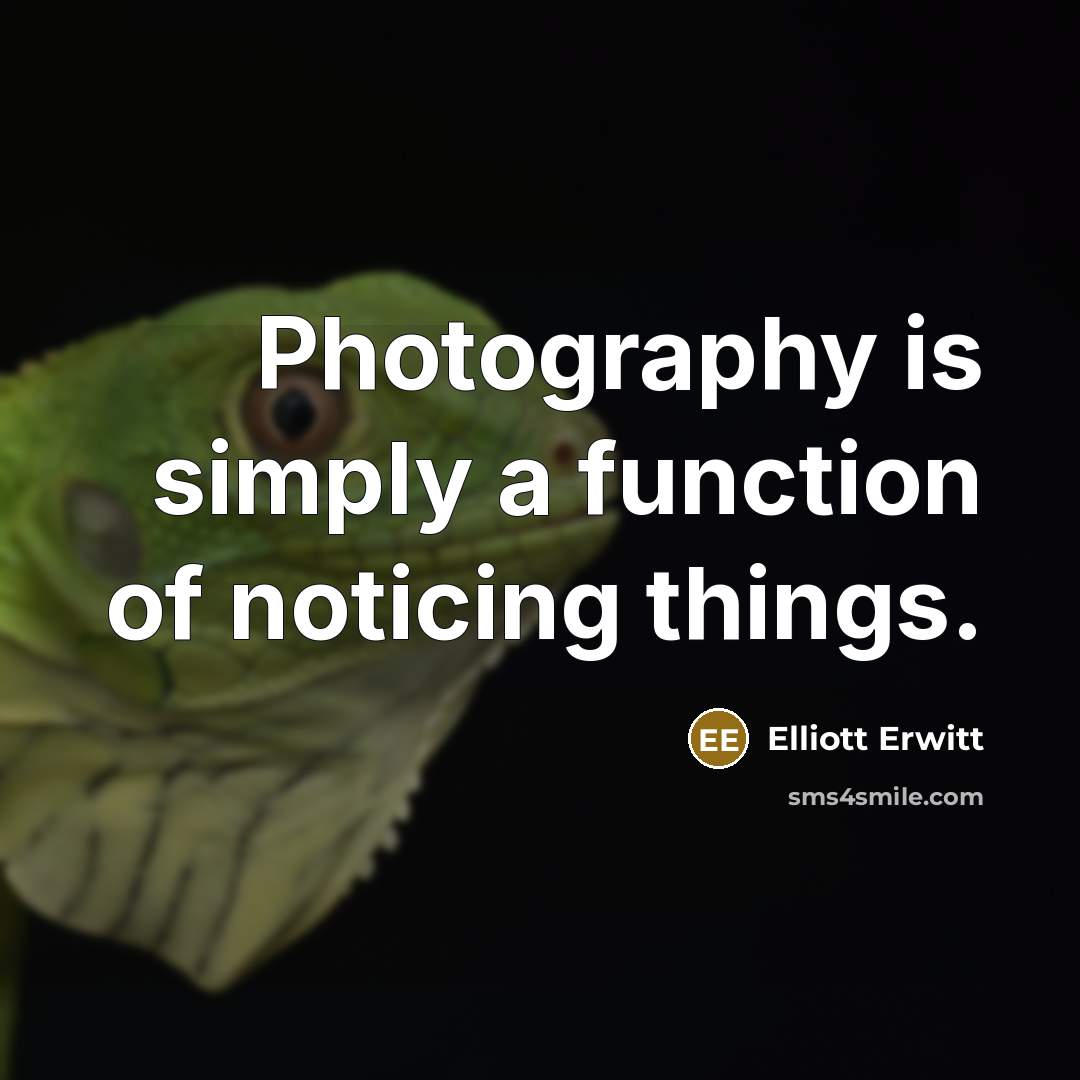 “Photography is simply a function of noticing things.” quote by Elliott Erwitt