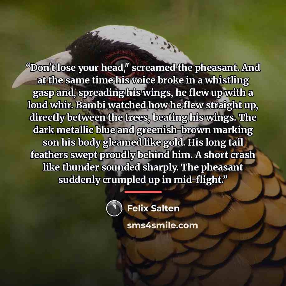 “Don't lose your head," screamed the pheasant. And at the same time his voice broke in a whistling gasp and, spreading his wings, he flew up with a loud whir. Bambi watched how he flew straight up, directly between the trees, beating his wings. The dark metallic blue and greenish-brown marking son…” quote by Felix Salten
