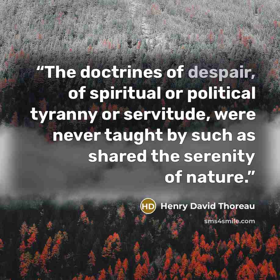 “The doctrines of despair, of spiritual or political tyranny or servitude, were never taught by such as shared the serenity of nature.” quote by Henry David Thoreau