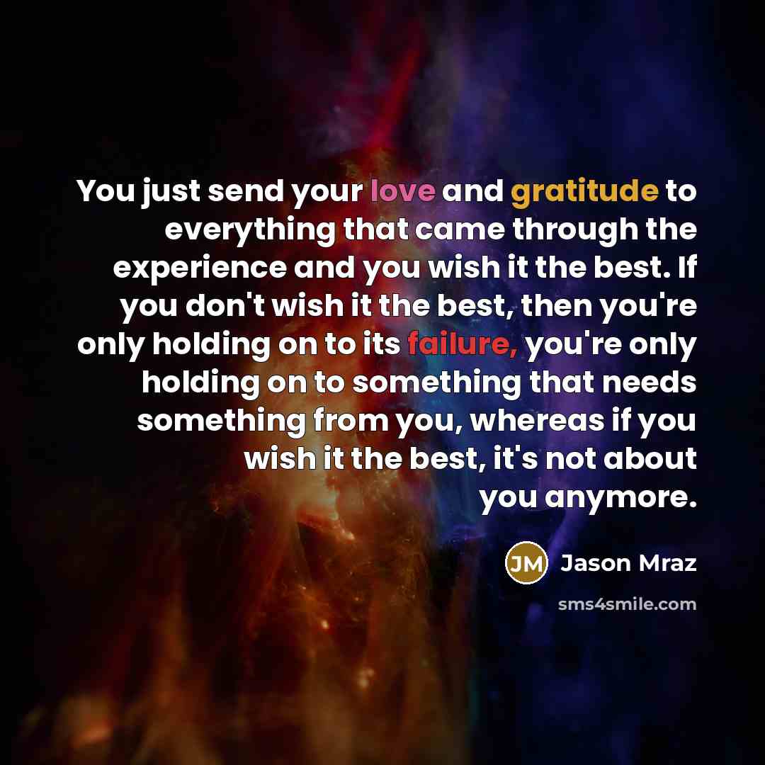 “You just send your love and gratitude to everything that came through the experience and you wish it the best. If you don't wish it the best, then you're only holding on to its failure, you're only holding on to something that needs something from you, whereas if you wish it the best, it's not…” quote by Jason Mraz