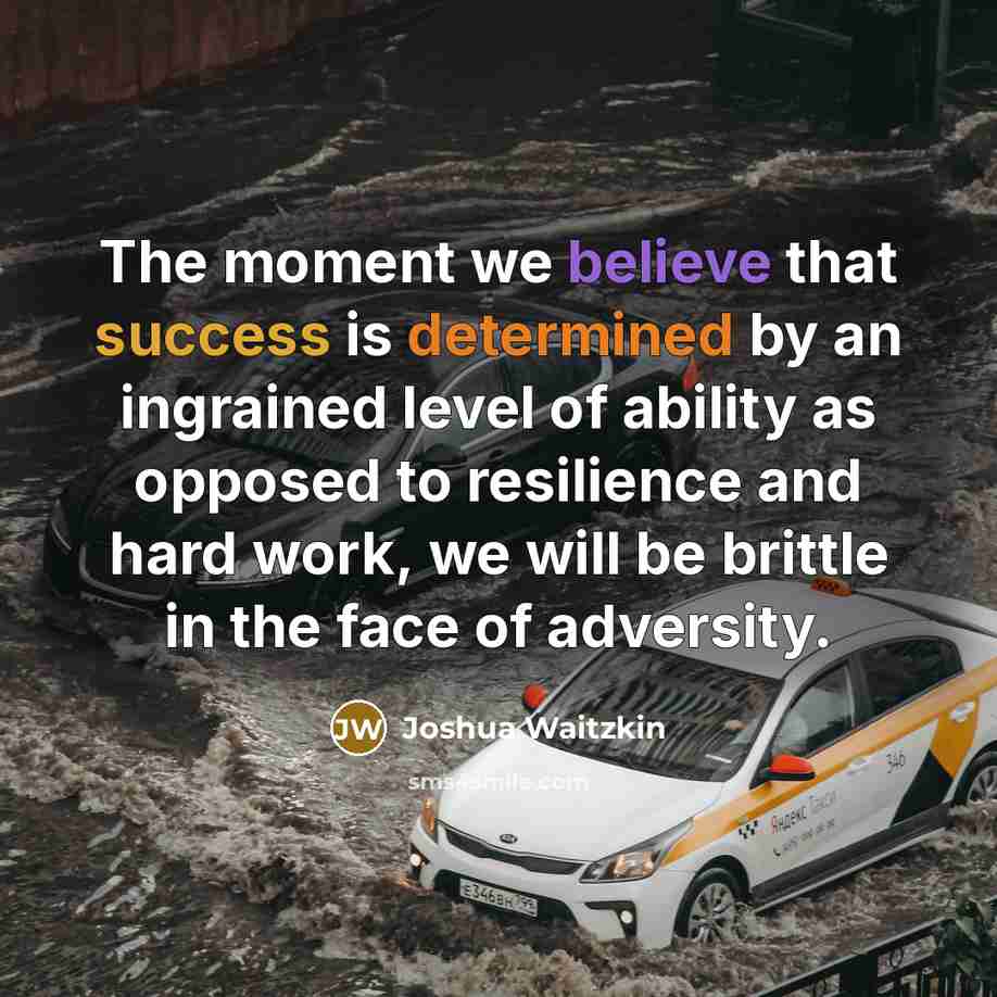 “The moment we believe that success is determined by an ingrained level of ability as opposed to resilience and hard work, we will be brittle in the face of adversity.” quote by Joshua Waitzkin