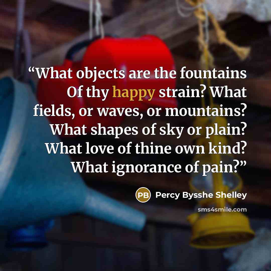 “What objects are the fountains Of thy happy strain? What fields, or waves, or mountains? What shapes of sky or plain? What love of thine own kind? What ignorance of pain?” quote by Percy Bysshe Shelley