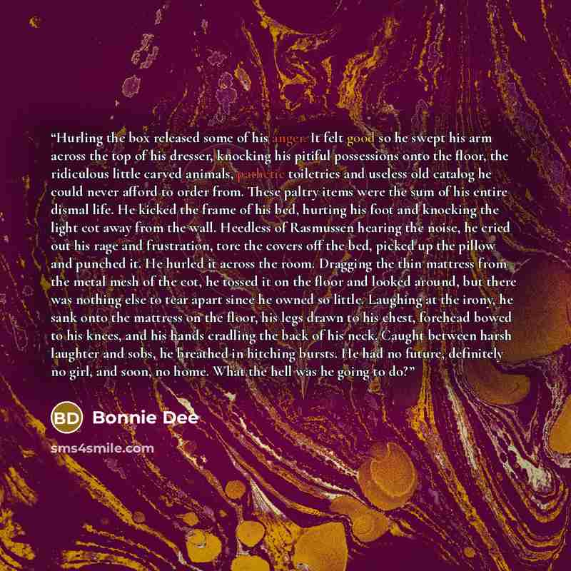 “Hurling the box released some of his anger. It felt good so he swept his arm across the top of his dresser, knocking his pitiful possessions onto the floor, the ridiculous little carved animals, pathetic toiletries and useless old catalog he could never afford to order from. These paltry items…” quote by Bonnie Dee