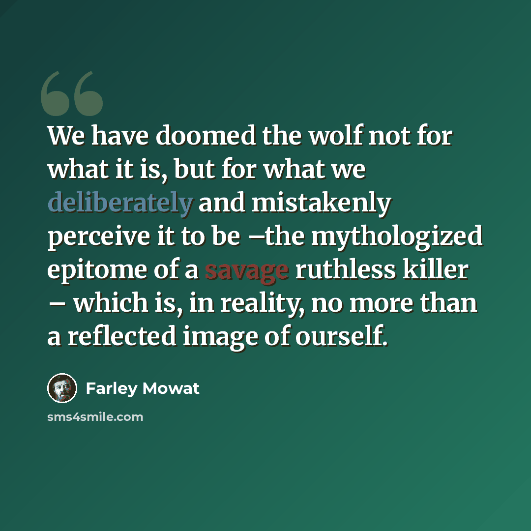 “We have doomed the wolf not for what it is, but for what we deliberately and mistakenly perceive it to be –the mythologized epitome of a savage ruthless killer – which is, in reality, no more than a reflected image of ourself.” quote by Farley Mowat
