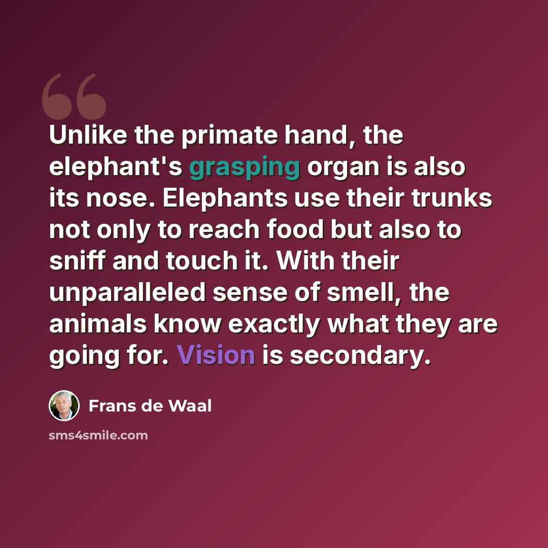 “Unlike the primate hand, the elephant's grasping organ is also its nose. Elephants use their trunks not only to reach food but also to sniff and touch it. With their unparalleled sense of smell, the animals know exactly what they are going for. Vision is secondary.” quote by Frans de Waal