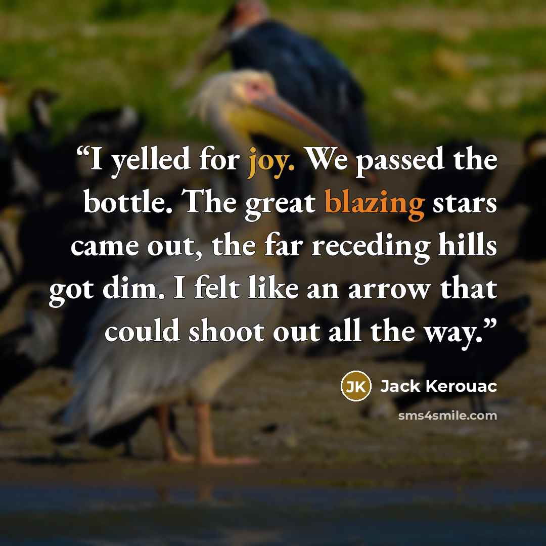 “I yelled for joy. We passed the bottle. The great blazing stars came out, the far receding hills got dim. I felt like an arrow that could shoot out all the way.” quote by Jack Kerouac