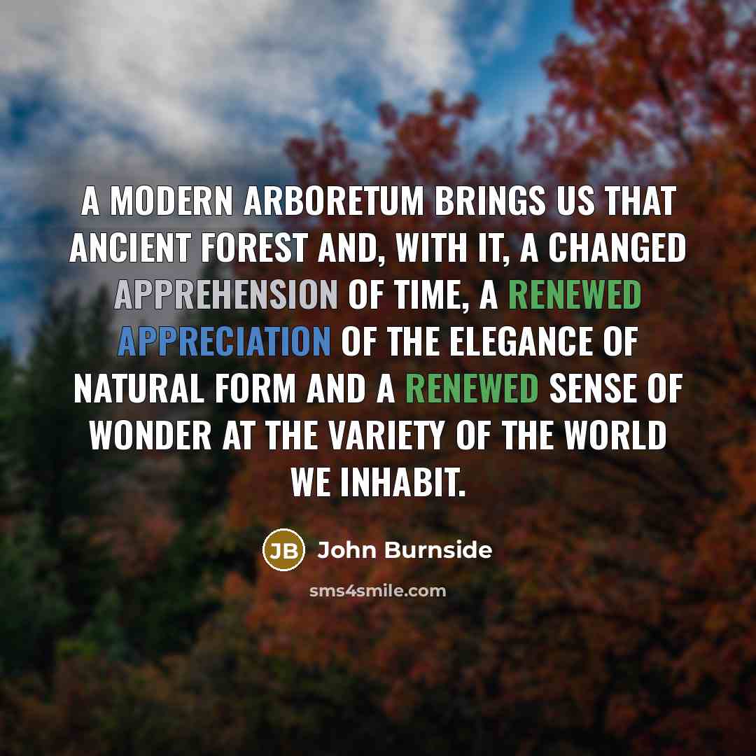 “A modern arboretum brings us that ancient forest and, with it, a changed apprehension of time, a renewed appreciation of the elegance of natural form and a renewed sense of wonder at the variety of the world we inhabit.” quote by John Burnside