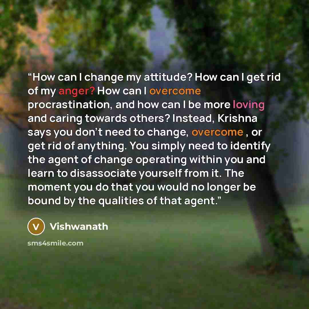 “How can I change my attitude? How can I get rid of my anger? How can I overcome procrastination, and how can I be more loving and caring towards others? Instead, Krishna says you don’t need to change, overcome , or get rid of anything. You simply need to identify the agent of change operating…” quote by Vishwanath